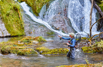 fly fishing in Bath County Va