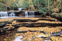 Big Tumbling Creek Saltville VA credit Virginia Department of Wildlife Resources