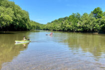 Campbell County - Shallow Waters by Susan Foster