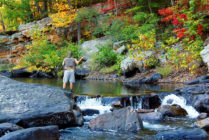 Fishing in Lexington