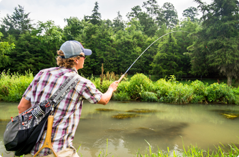Mossy Creek Fly Fishing in Augusta County